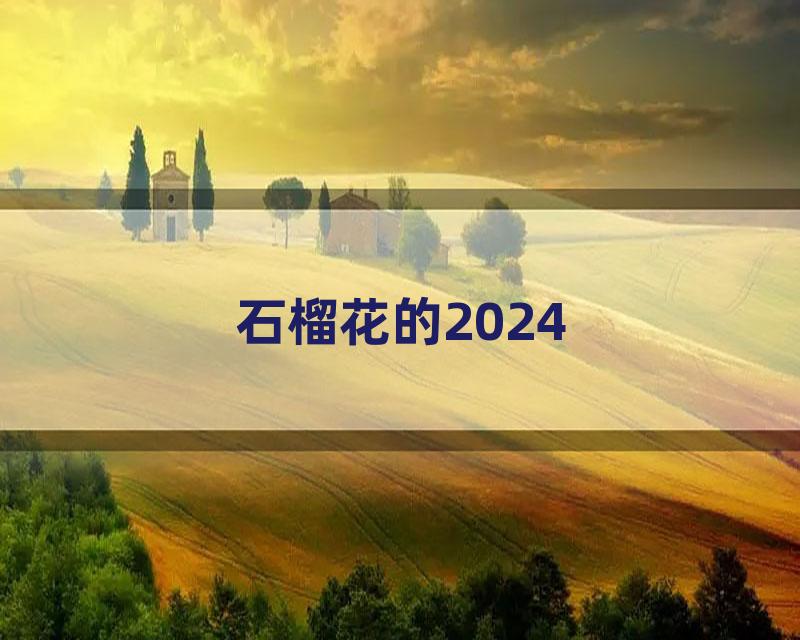 石榴花的2024