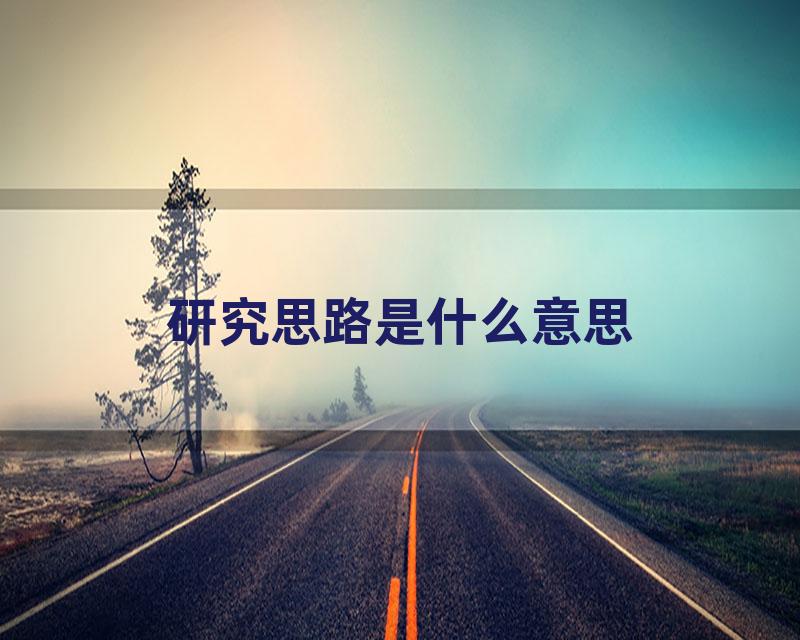 研究思路是什么意思