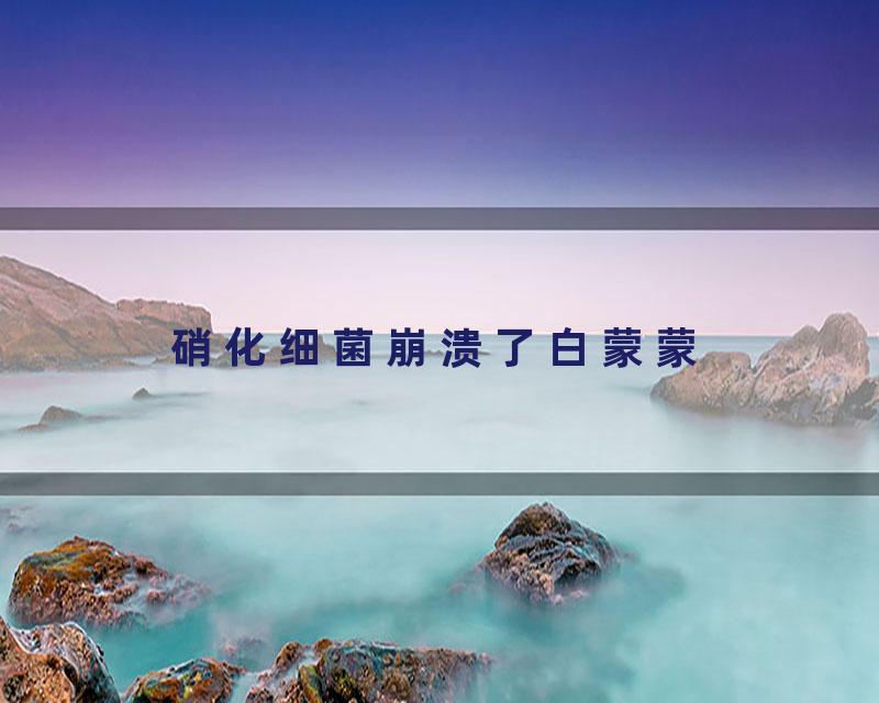 硝化细菌崩溃了白蒙蒙