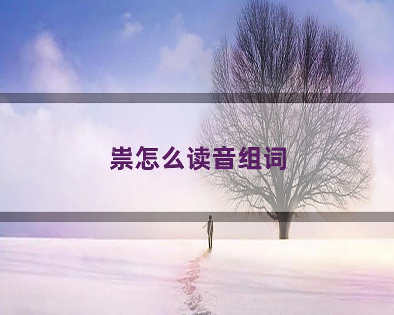 祟怎么读音组词