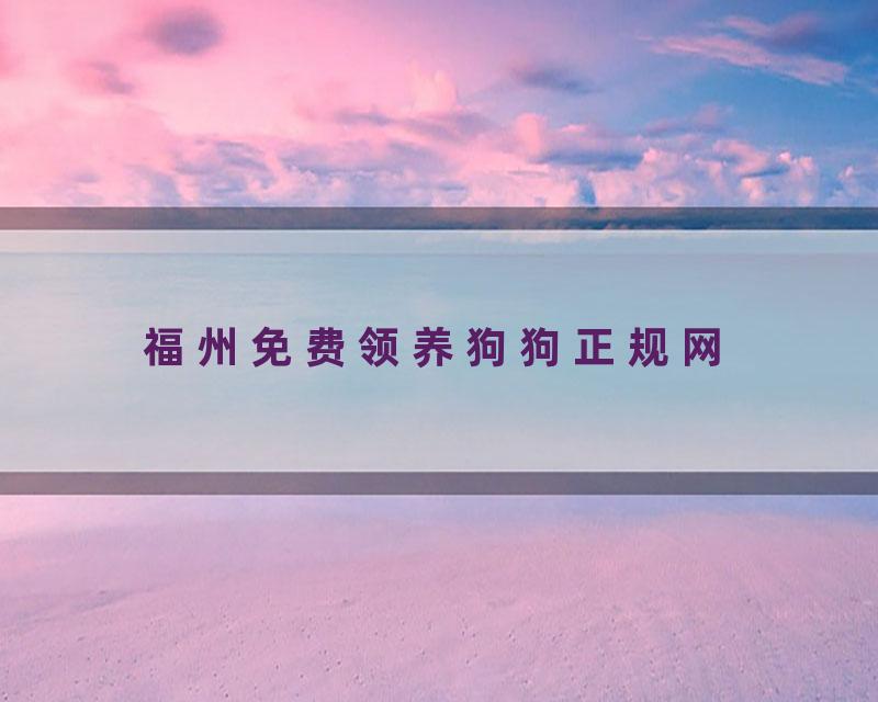 福州免费领养狗狗正规网