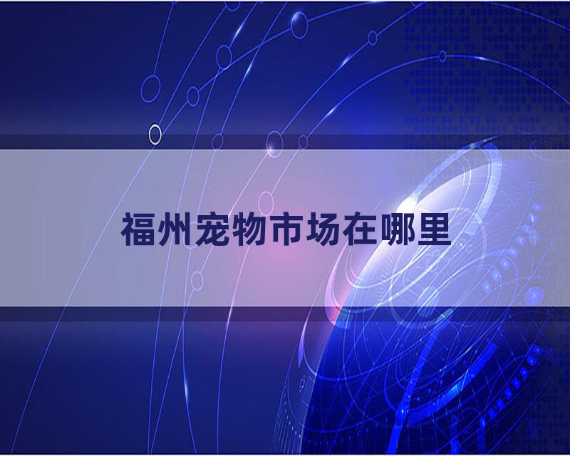 福州宠物市场在哪里