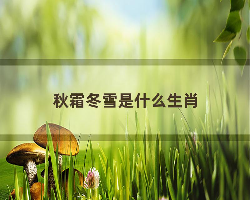 秋霜冬雪是什么生肖