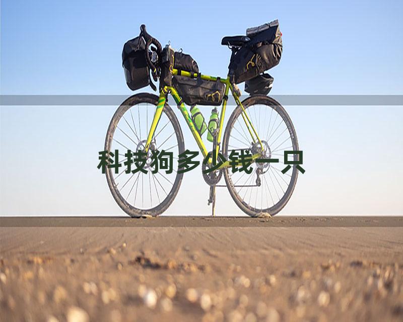 科技狗多少钱一只