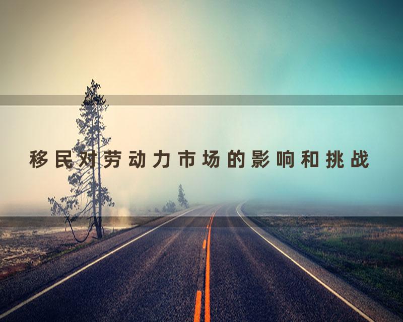 移民对劳动力市场的影响和挑战