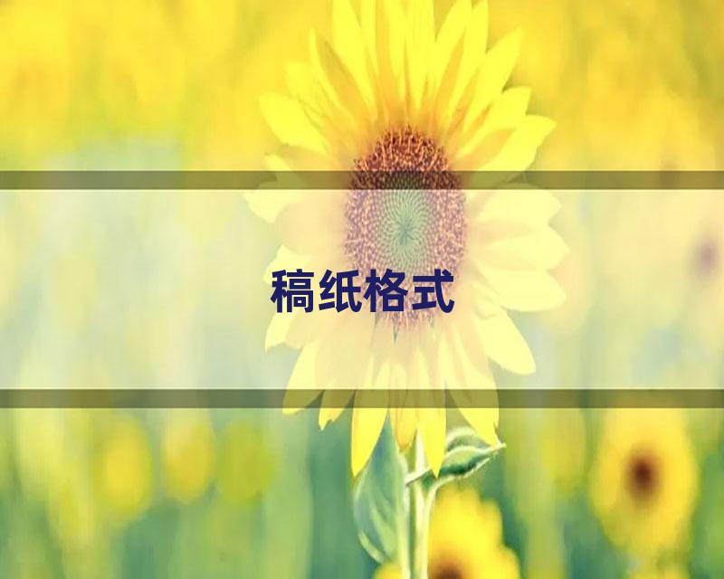 稿纸格式