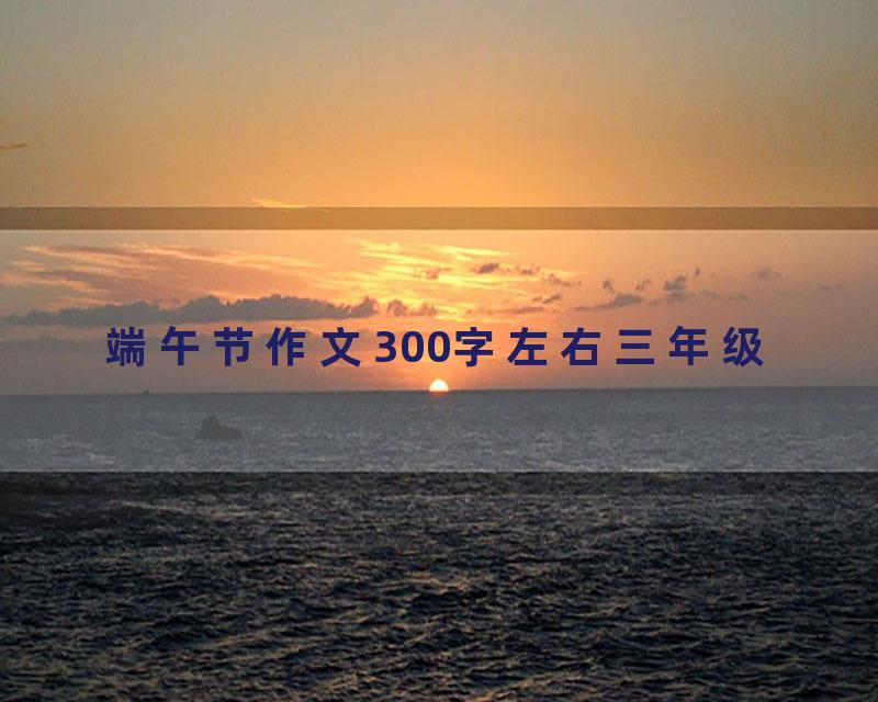 端午节作文300字左右三年级