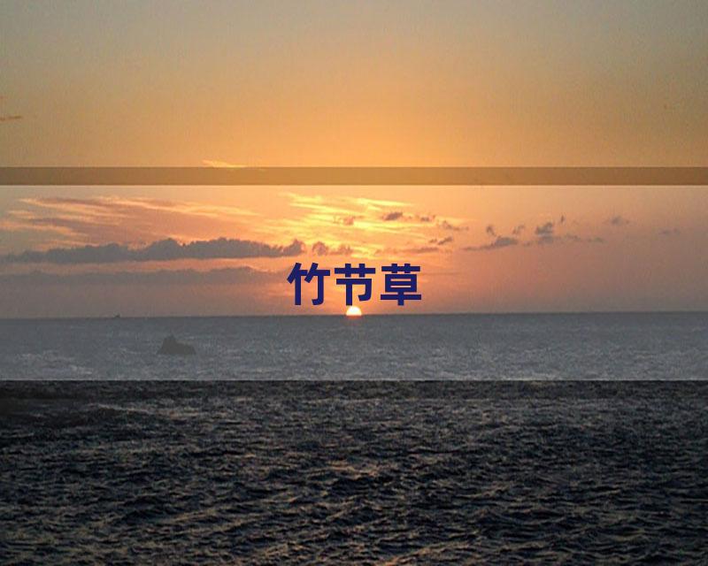 竹节草