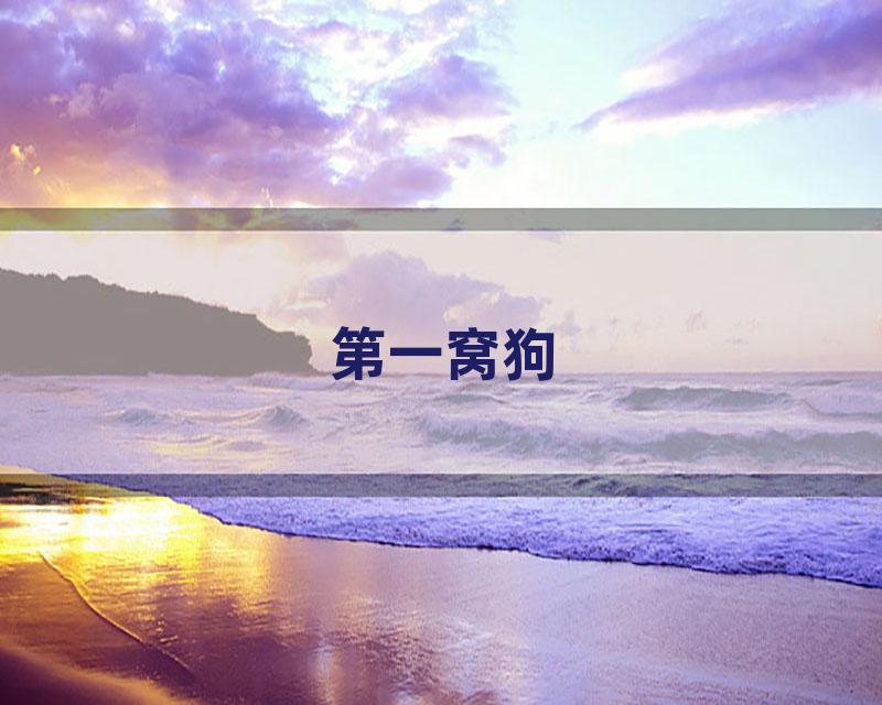 第一窝狗