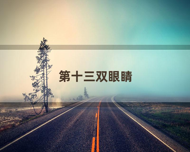 第十三双眼睛