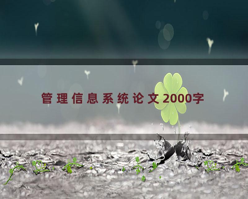管理信息系统论文2000字