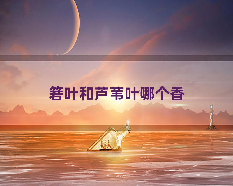 箬叶和芦苇叶哪个香