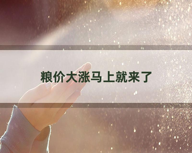 粮价大涨马上就来了