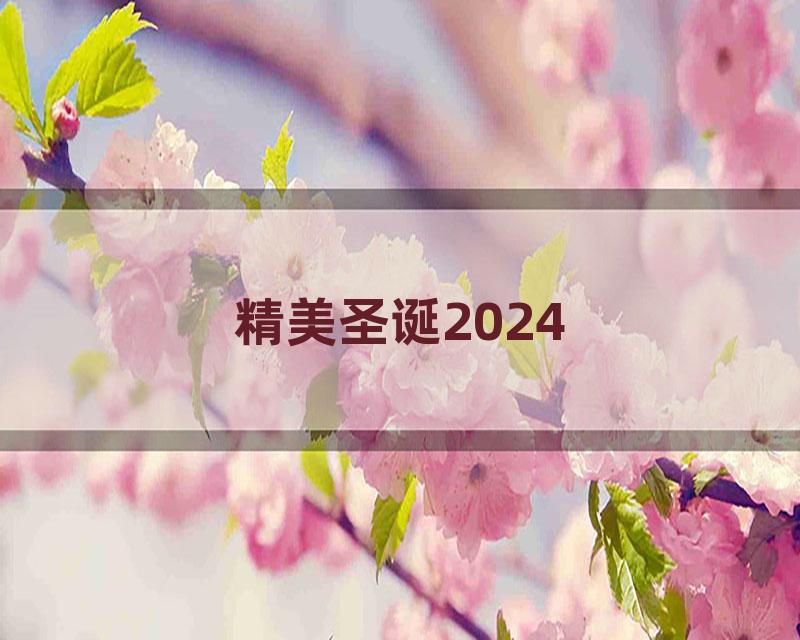 精美圣诞2024