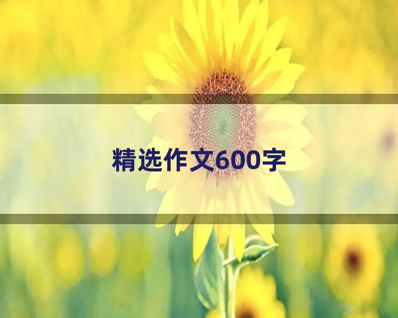 精选作文600字