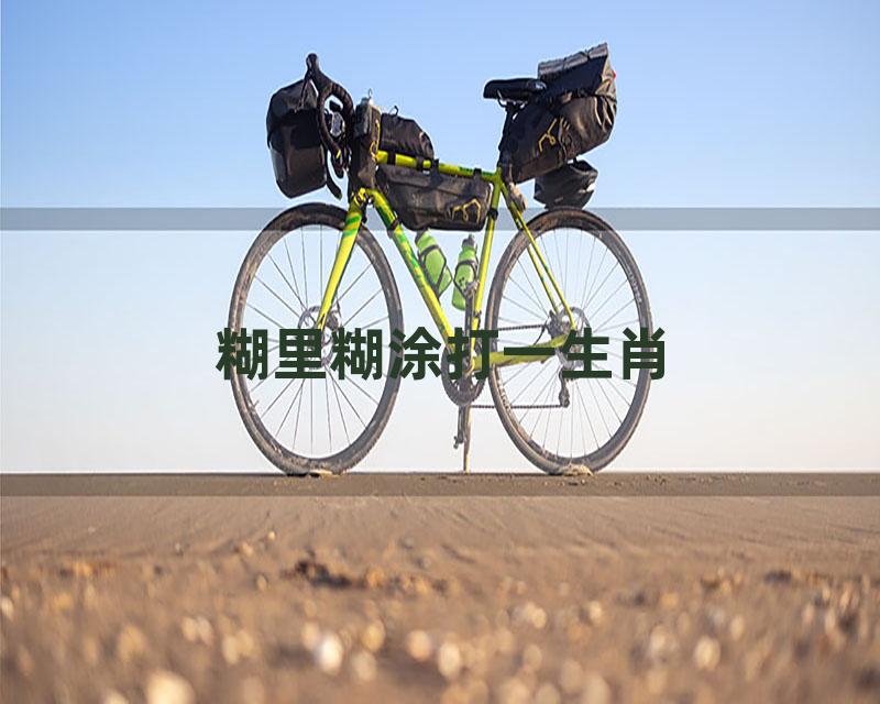 糊里糊涂打一生肖