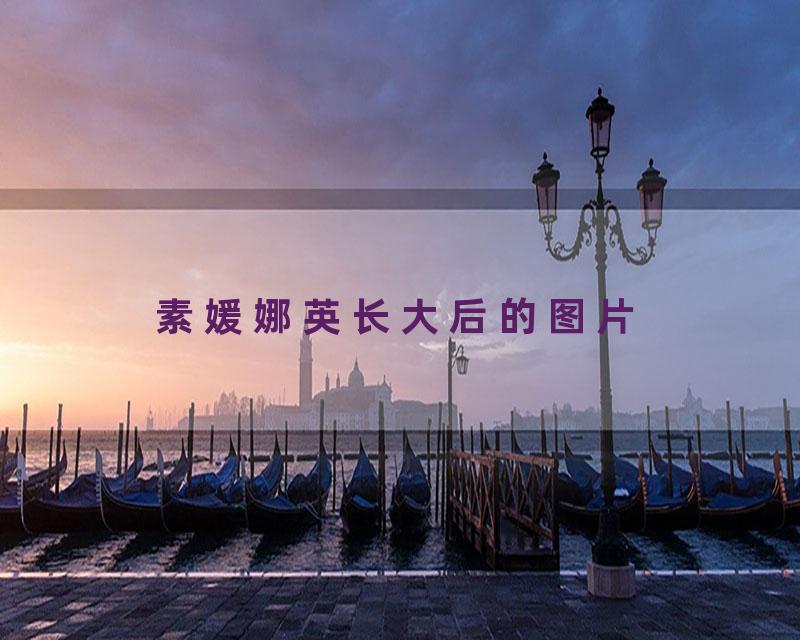 素媛娜英长大后的图片