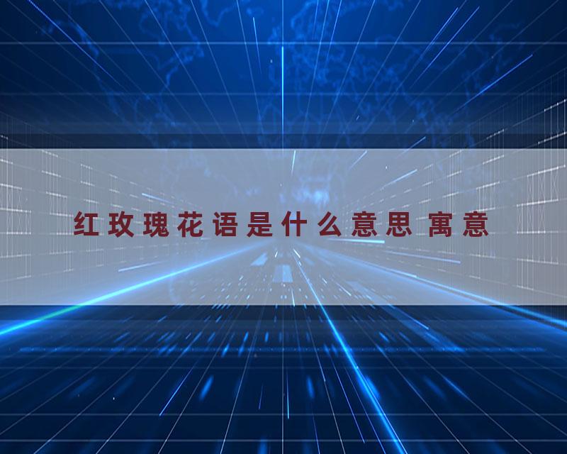 红玫瑰花语是什么意思 寓意