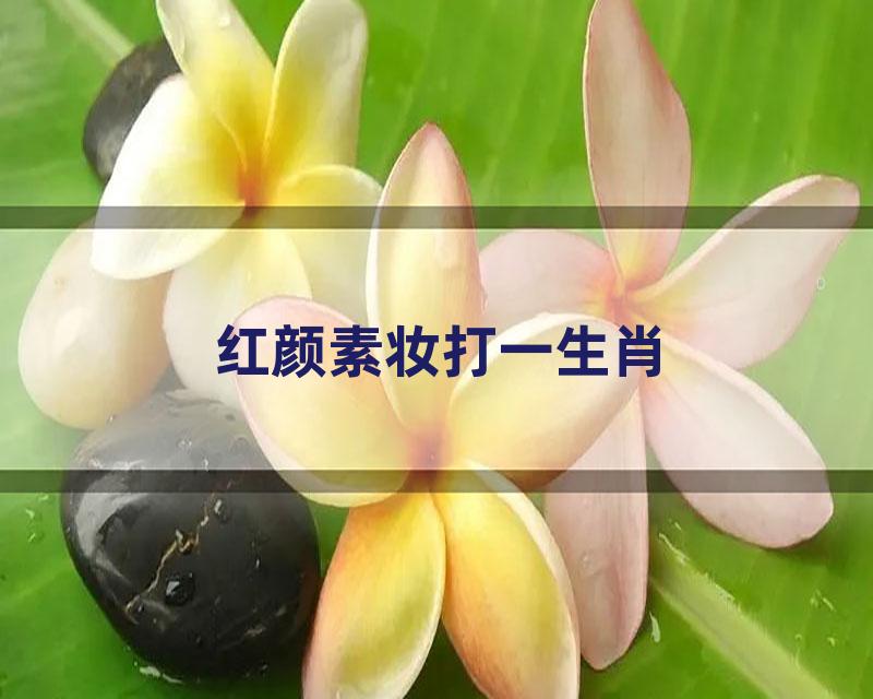 红颜素妆打一生肖