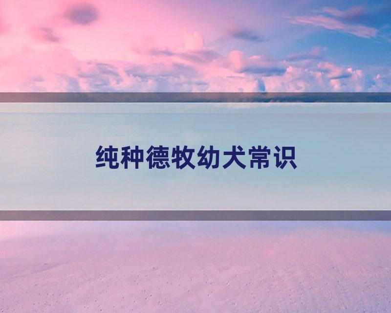 纯种德牧幼犬常识