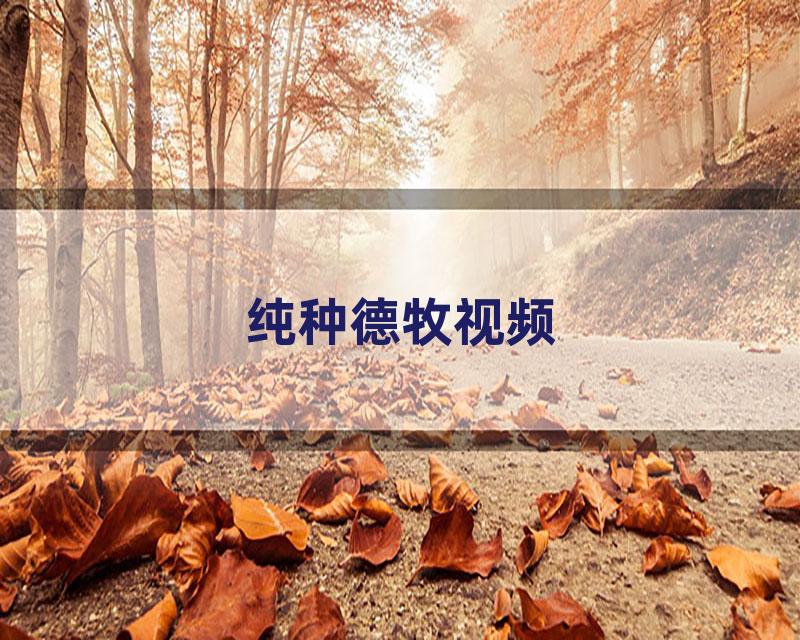 纯种德牧视频