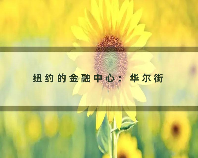 纽约的金融中心：华尔街