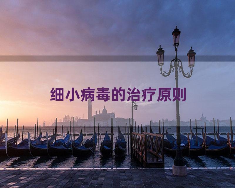 细小病毒的治疗原则