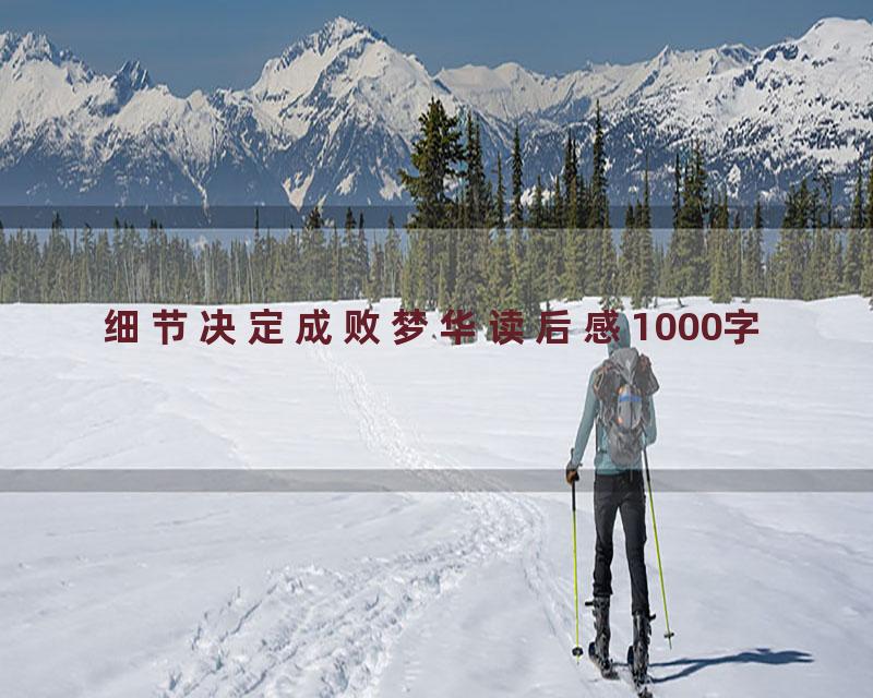 细节决定成败梦华读后感1000字