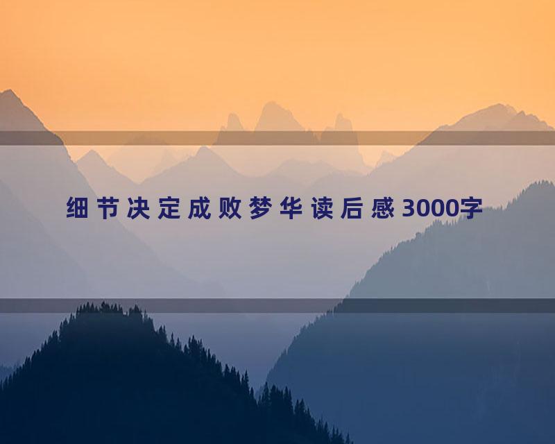细节决定成败梦华读后感3000字