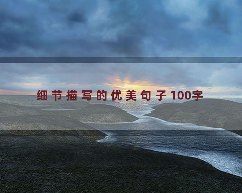 细节描写的优美句子100字