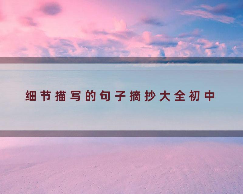 细节描写的句子摘抄大全初中