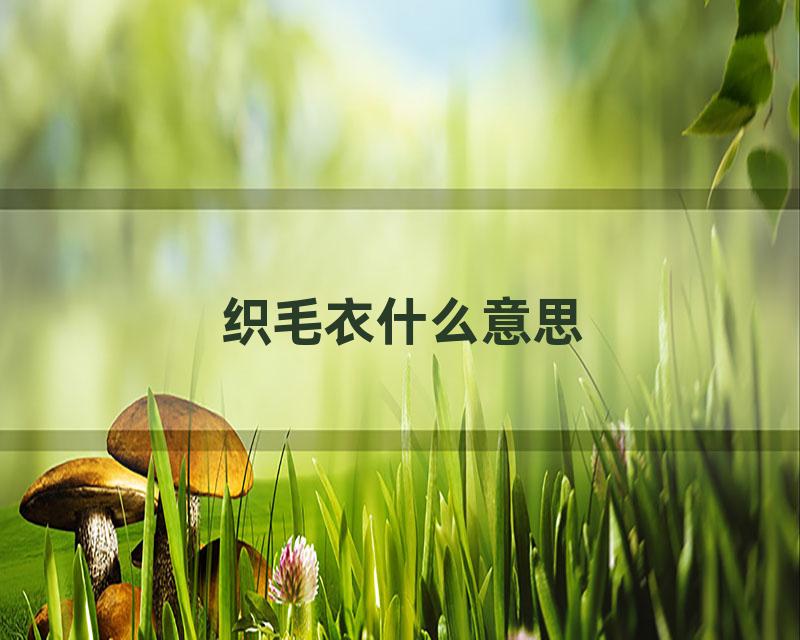 织毛衣什么意思