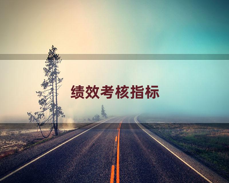 绩效考核指标