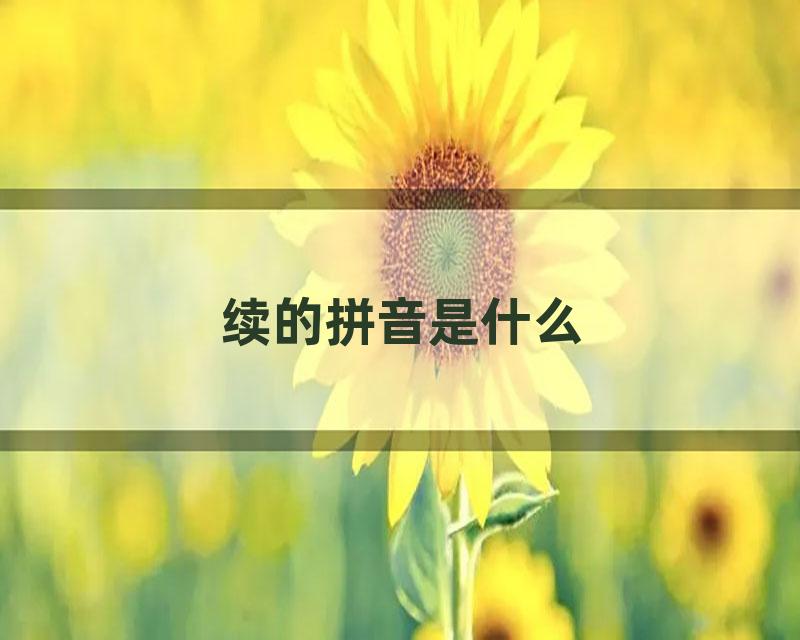续的拼音是什么