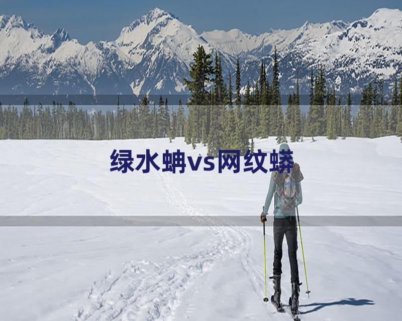绿水蚺vs网纹蟒