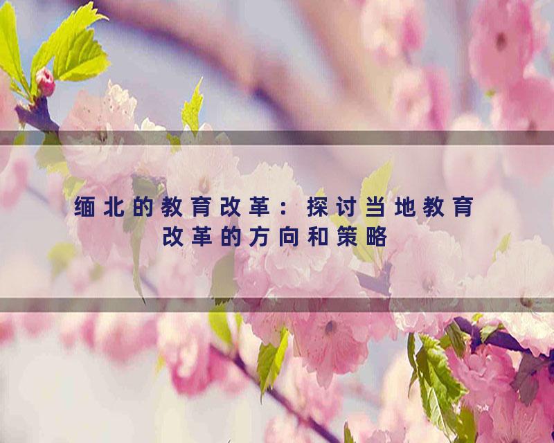 缅北的教育改革：探讨当地教育改革的方向和策略