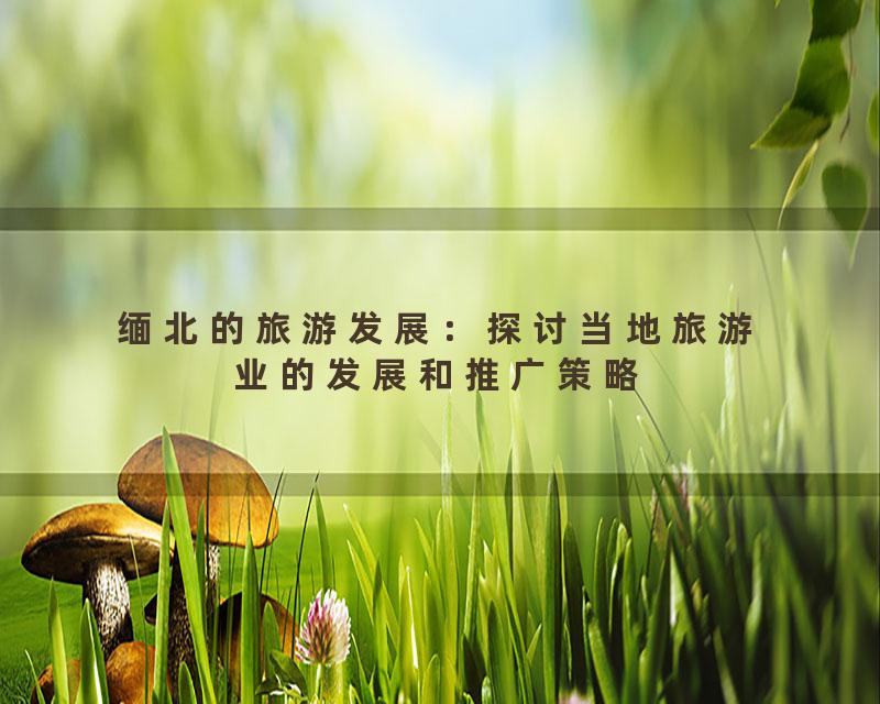 缅北的旅游发展：探讨当地旅游业的发展和推广策略