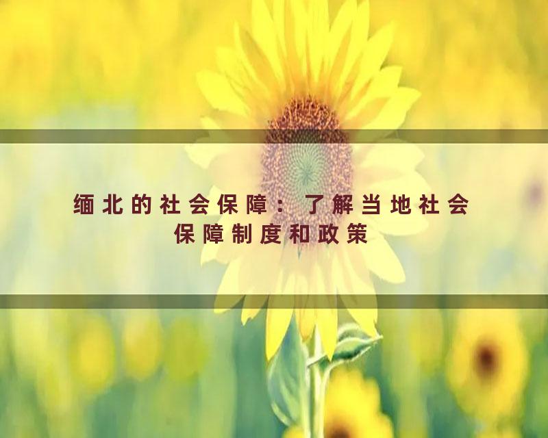 缅北的社会保障：了解当地社会保障制度和政策