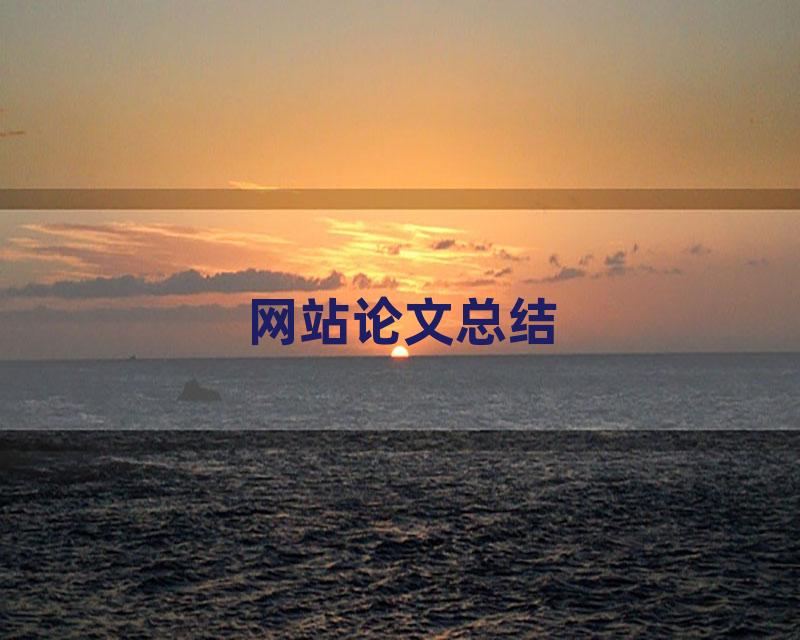 网站论文总结