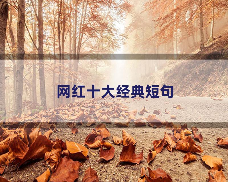 网红十大经典短句