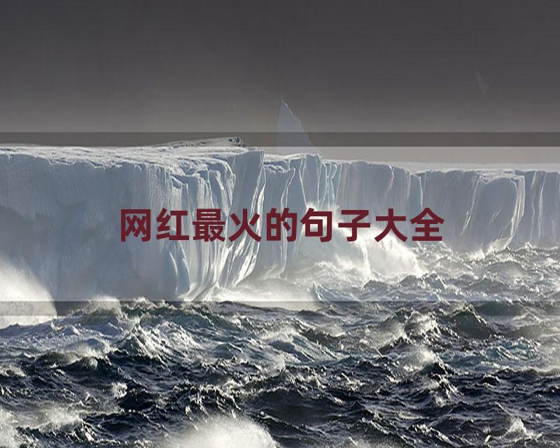 网红最火的句子大全