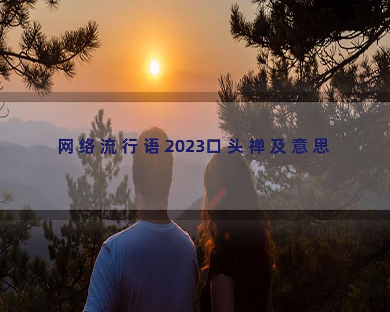 网络流行语2023口头禅及意思