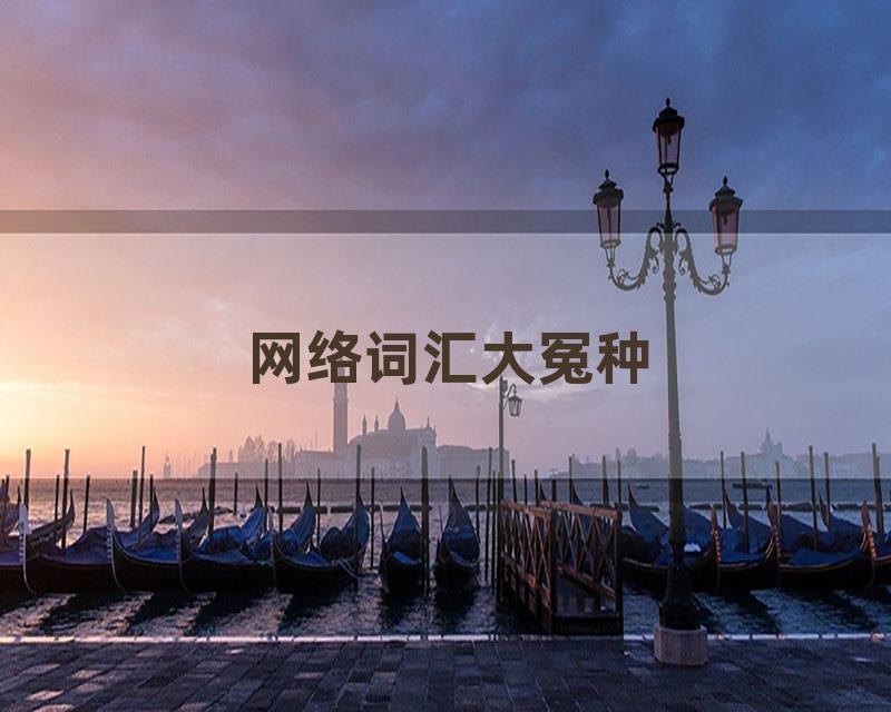 网络词汇大冤种