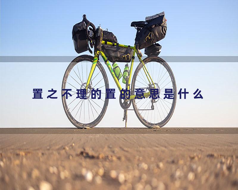 置之不理的置的意思是什么