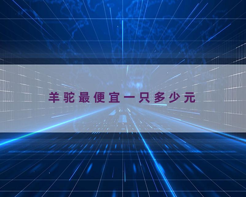 羊驼最便宜一只多少元