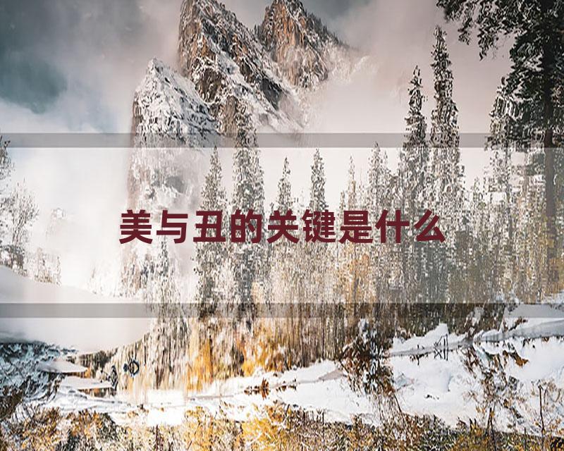 美与丑的关键是什么