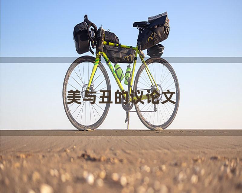 美与丑的议论文