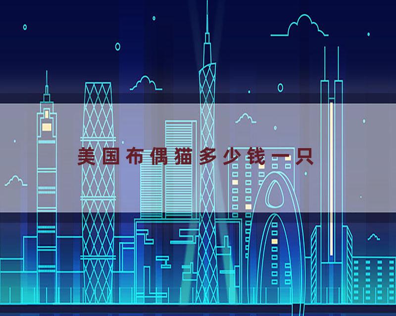 美国布偶猫多少钱一只