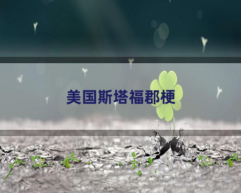 美国斯塔福郡梗