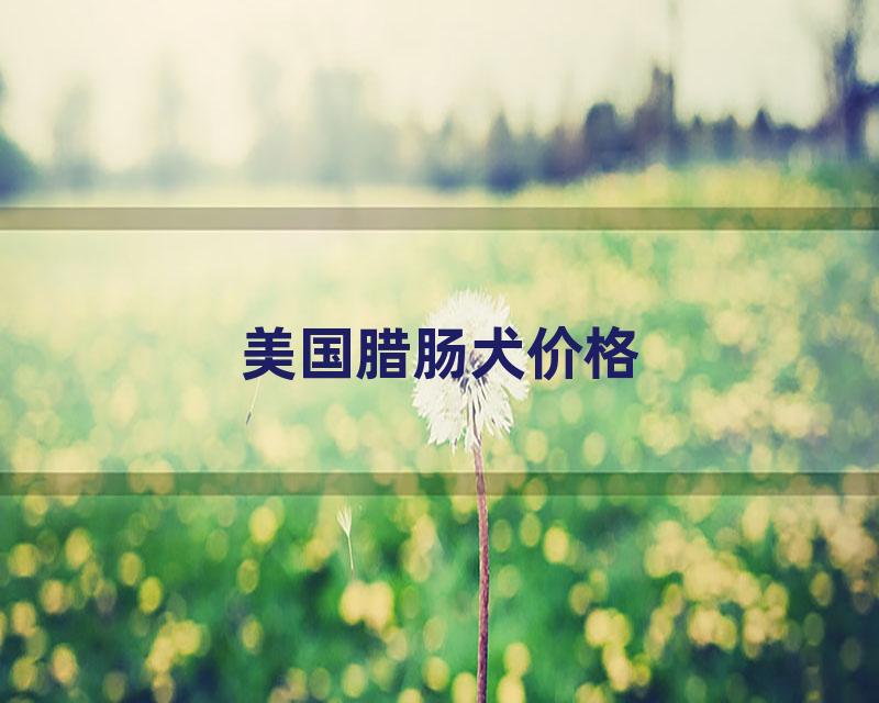 美国腊肠犬价格